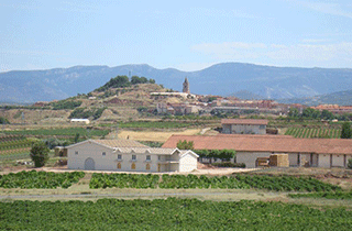 Die Bodegas Aldonia aus dem Herzen der Rioja